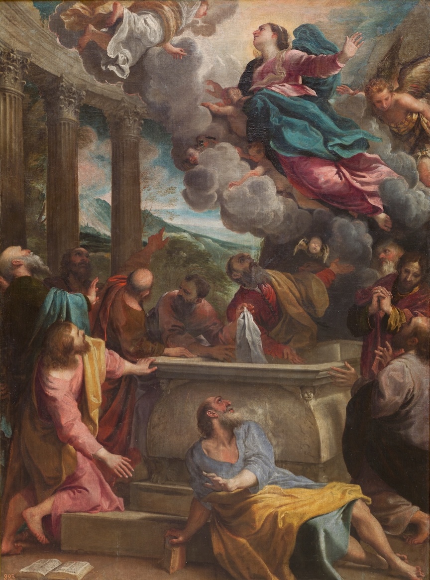 The Hidden Rose - The Catholic Thing