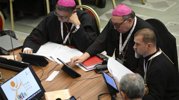 Answering questions about the future of synodality