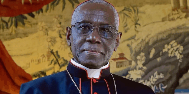 Pope Leo meets with Cardinal Sarah