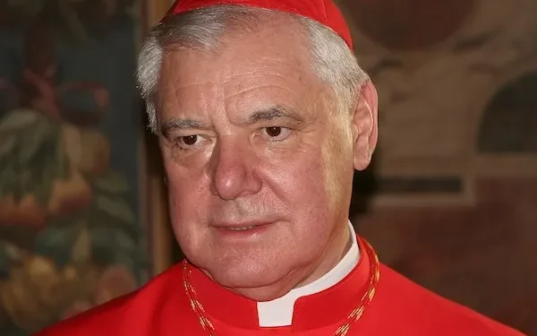 Cardinal Müller raises concerns over Vatican drone display, idolization of Pope Francis