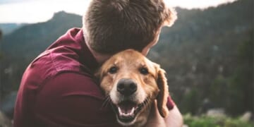 Do animals go to heaven?