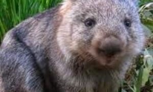 In The Mailbox: 09.29.25 : The Other McCain