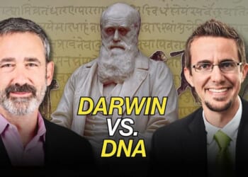 Darwin vs. DNA - The Stream