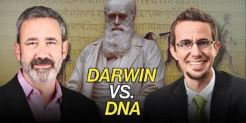 Darwin vs. DNA - The Stream