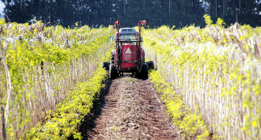 I Don't Care If the Farmers Are White