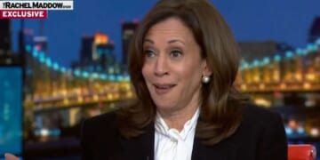 Image for article: Kamala Does Speaking Tour To Remind Nation Why Trump Is President