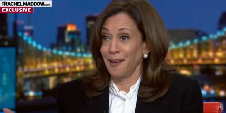 Image for article: Kamala Does Speaking Tour To Remind Nation Why Trump Is President