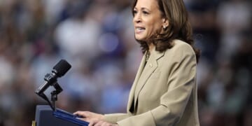 Kamala Harris Claims Her Supporters Would "Pass" Babies Around