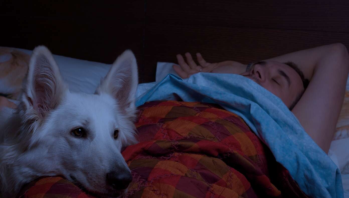 Image for article: Man Who Needs To Wake Up Early Sets Dog To Vomit At 5:00 AM