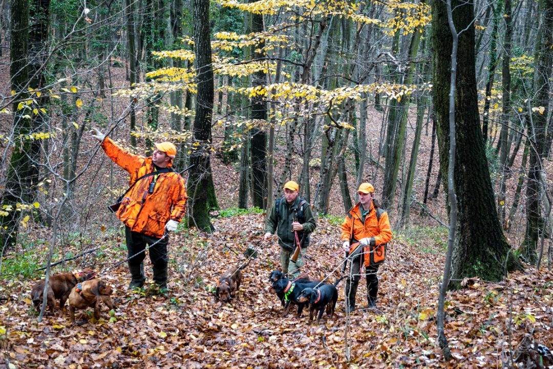 The God-given Right to Hunt The God-given Right to Hunt