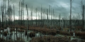 The Upside Down: Leftism’s Alternate Dimension