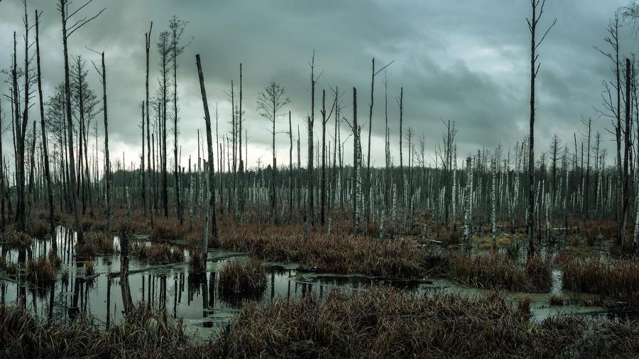 The Upside Down: Leftism’s Alternate Dimension