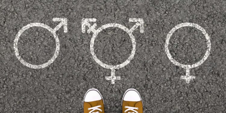 Transgender Ideology is Inherently Destructive Part 2