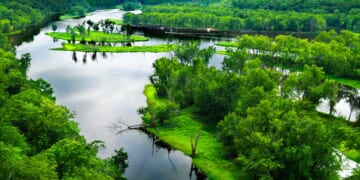 Green Bay, Wisconsin, “Sustainability Commission” to Draft “Rights of Nature” Resolution