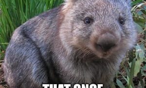 In The Mailbox: 10.06.25 (Evening Edition) : The Other McCain