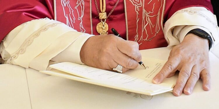 12 quotes from "Dilexi te"