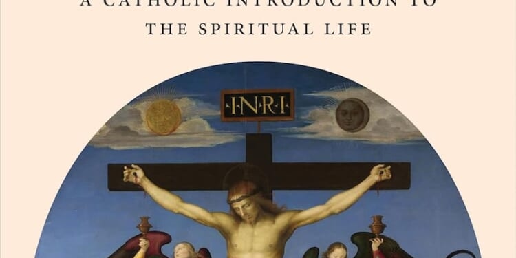 Contemplation and the Cross - The Catholic Thing