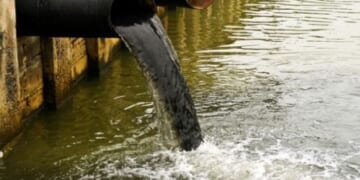 You'll never be able to wash the stench of corruption off, Gavin