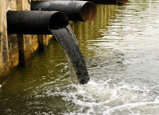 You'll never be able to wash the stench of corruption off, Gavin