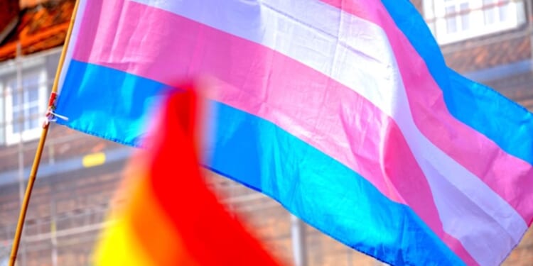 Transgenderism Declining Among College Students: Study