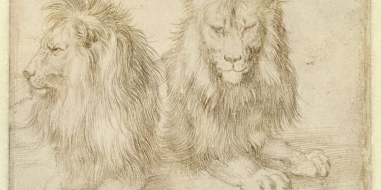 Leo XIV contra Leo XIII