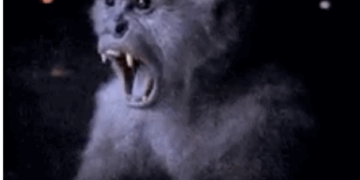 Who Is Paying the ‘Racist Trolls’ Who Disagree With Alonso Gurmendi? : The Other McCain