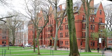 Want Straight A’s in College? Go to Harvard.