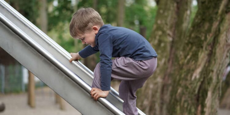 Image for article: 4-Year-Old Rebel Defies Convention And Climbs Up Slide