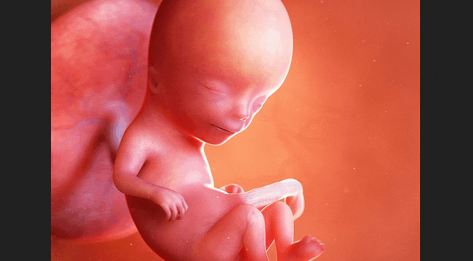 Abortion Isn’t About a Woman’s Body, It’s About What Happens to a Baby’s Body