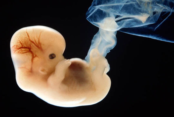 Abortion Pills Kill Babies and Hurt Women, FDA Should Take It Off the Market