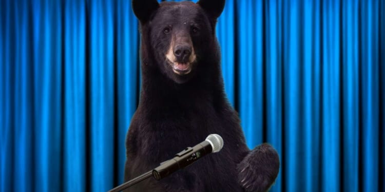 Image for article: Black Bears Demand To Be Referred To As 'Bears Of Color'