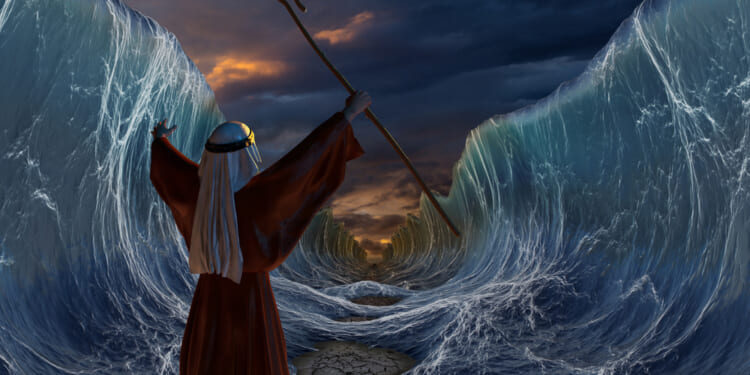 Calvinist Critical Theory – Religion & Liberty Online