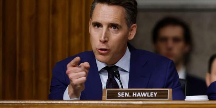 'Democrats Need to Stop the Foolishness and Get Back to Work' [WATCH]