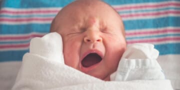 First Time Ever in Wisconsin: Safe Haven Box Saves Baby From Infanticide