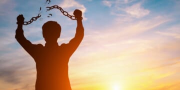 For Freedom’s Sake - The Stream