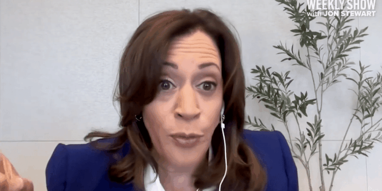 Harris Drops F-Bombs in Unhinged Rant About White House Ballroom [WATCH]
