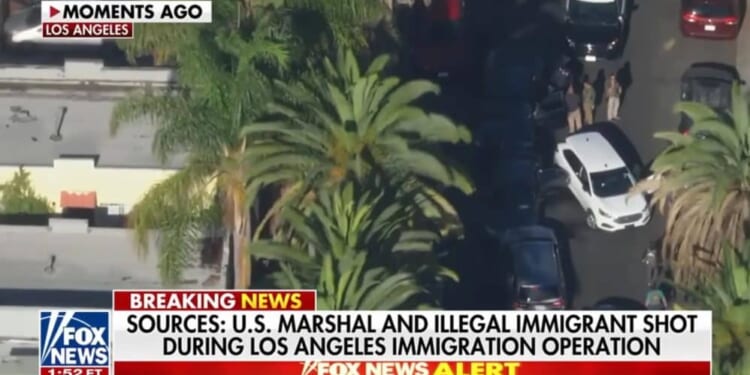 Illegal Immigrant Shot After Trying to Ram Agents in Los Angeles: Report