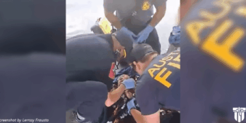 “Miracle Angel" Newborn Baby Found Alive Abandoned in Dumpster