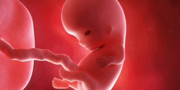 Missouri Amendment on 2026 Ballot Will Ban Abortions, Save Babies