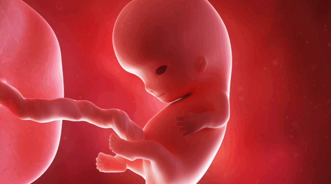 Missouri Amendment on 2026 Ballot Will Ban Abortions, Save Babies