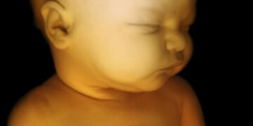 New Abortion Biz in New Jersey Will Kill Babies in Abortions Up to Birth