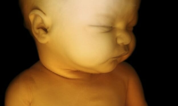 New Abortion Biz in New Jersey Will Kill Babies in Abortions Up to Birth