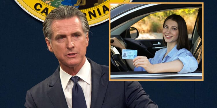 Image for article: Newsom Continues To Endanger Public By Issuing Drivers' Licenses To Women