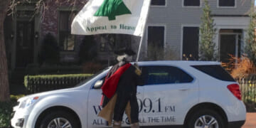 On Democracy, Republics, Rights, and the Founders