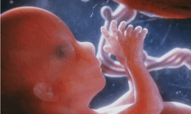 Oregon Abortions Decline as More Babies are Saved From Abortion