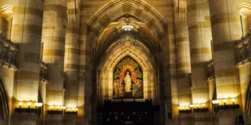 Our Colleges Are Hotbeds of Moral Cowardice