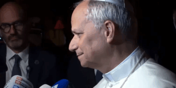 Pope Leo: Opposing Abortion and Illegal Immigration May Not be Pro-Life