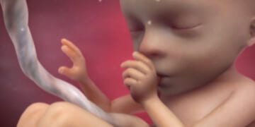 Queen City Texas Considers Sanctuary City for the Unborn Ordinance