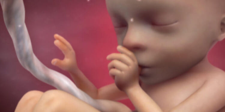 Queen City Texas Considers Sanctuary City for the Unborn Ordinance