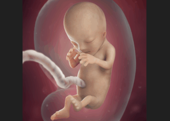 Radical Virginia Amendment Would Allow Abortions Up to Birth
